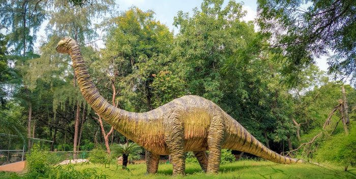 5 Plants That Flourished During Dino Time
