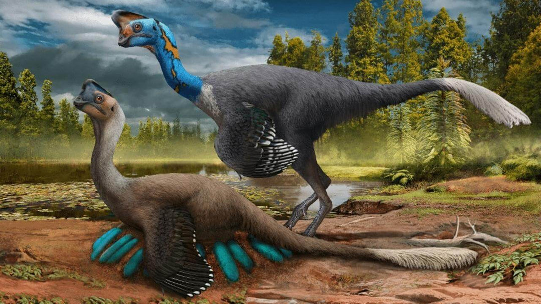 Illustration of an Oviraptorosaur sitting on eggs