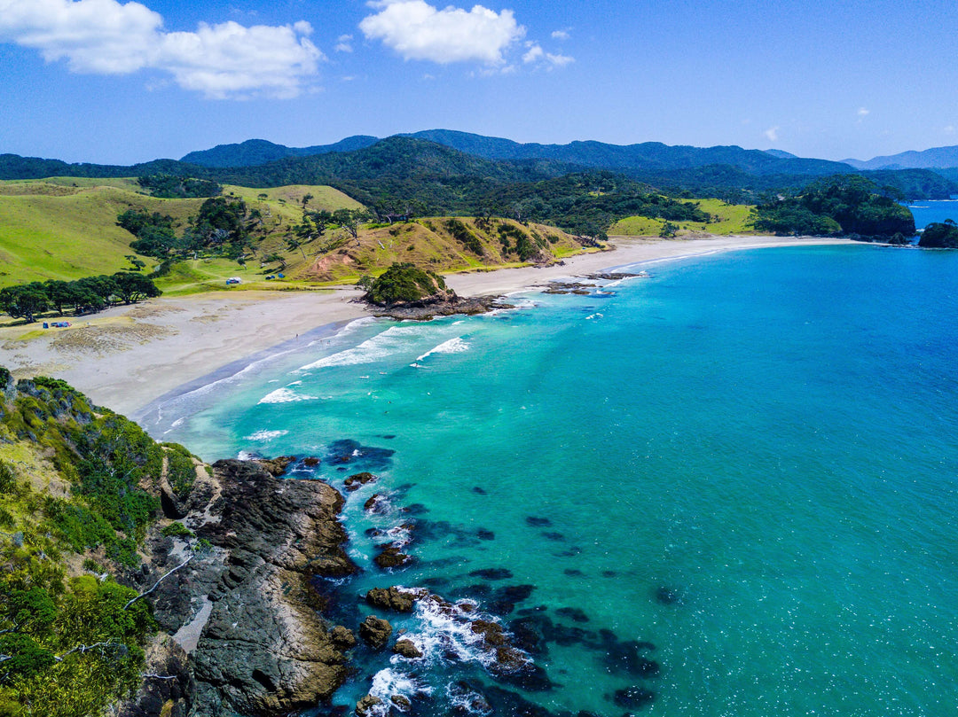 Take the Sea-Nic Route in New Zealand