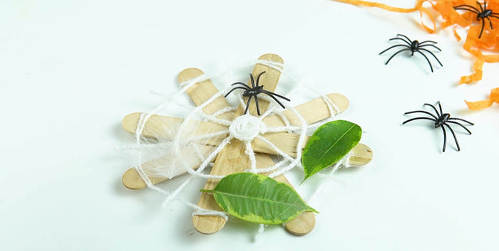 Spooky Spider Web Challenge
