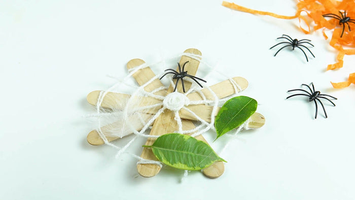 Spooky Spider Web Challenge