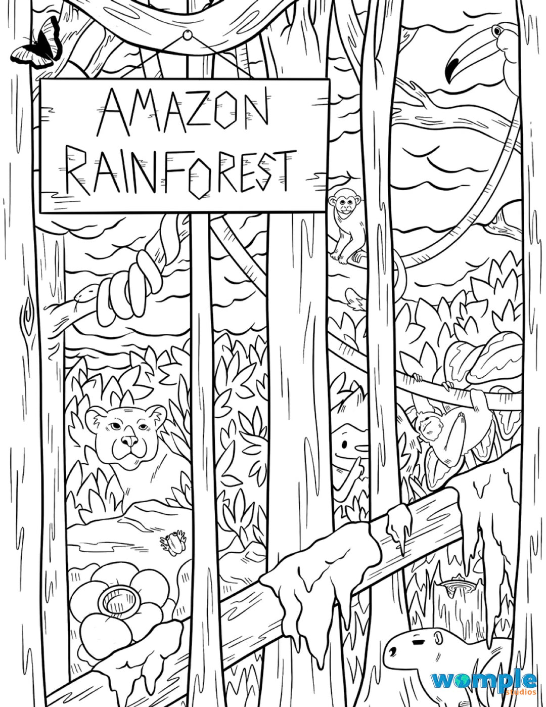 Amazon rainforest animals in a hidden picture and coloring page  