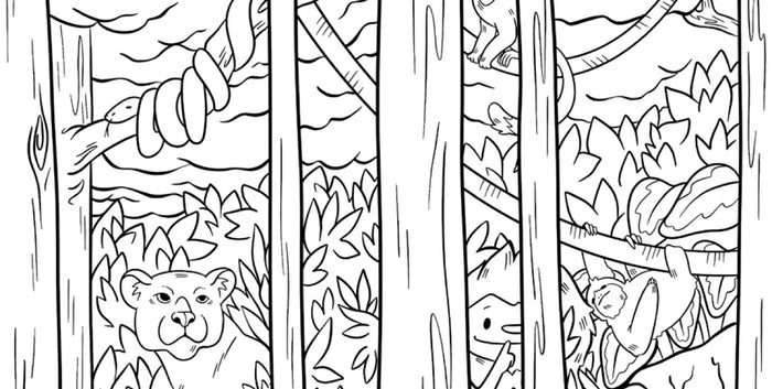 Amazon Rainforest Hidden Picture