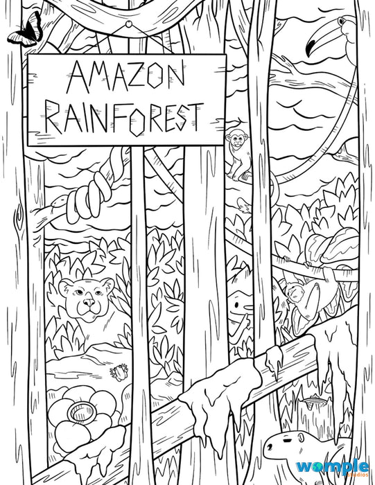 Womple Studios Amazon Rainforest Hidden Picture