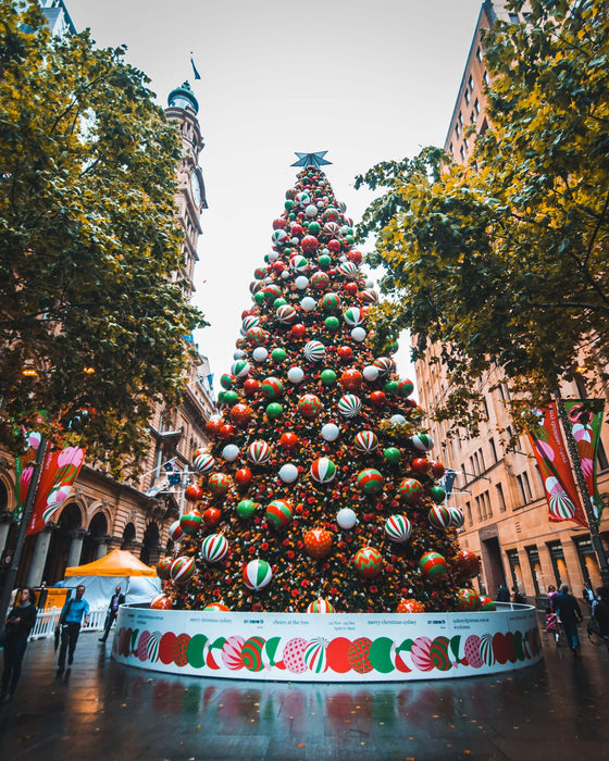 Top 7 Destinations For the Holiday Season