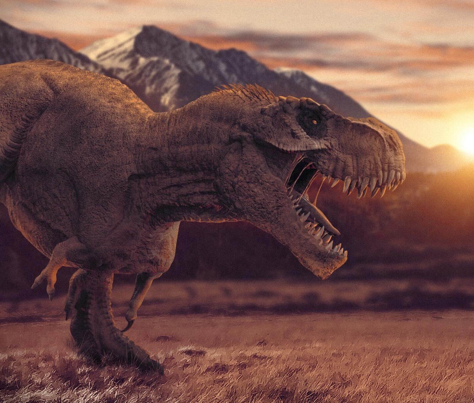 6 of the Biggest Dinosaur Carnivores Ever | Womple Studios