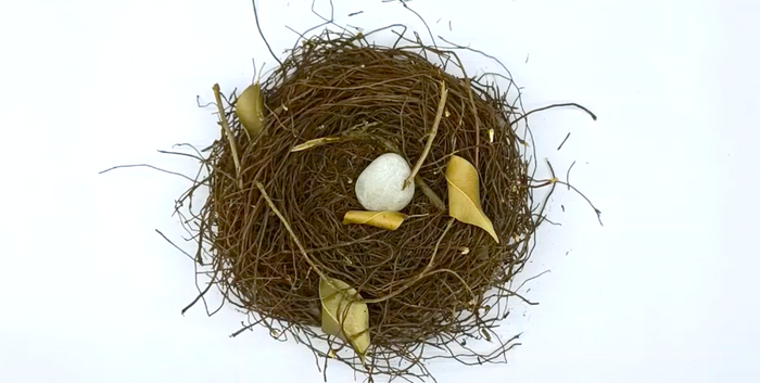 DIY Birds Nest