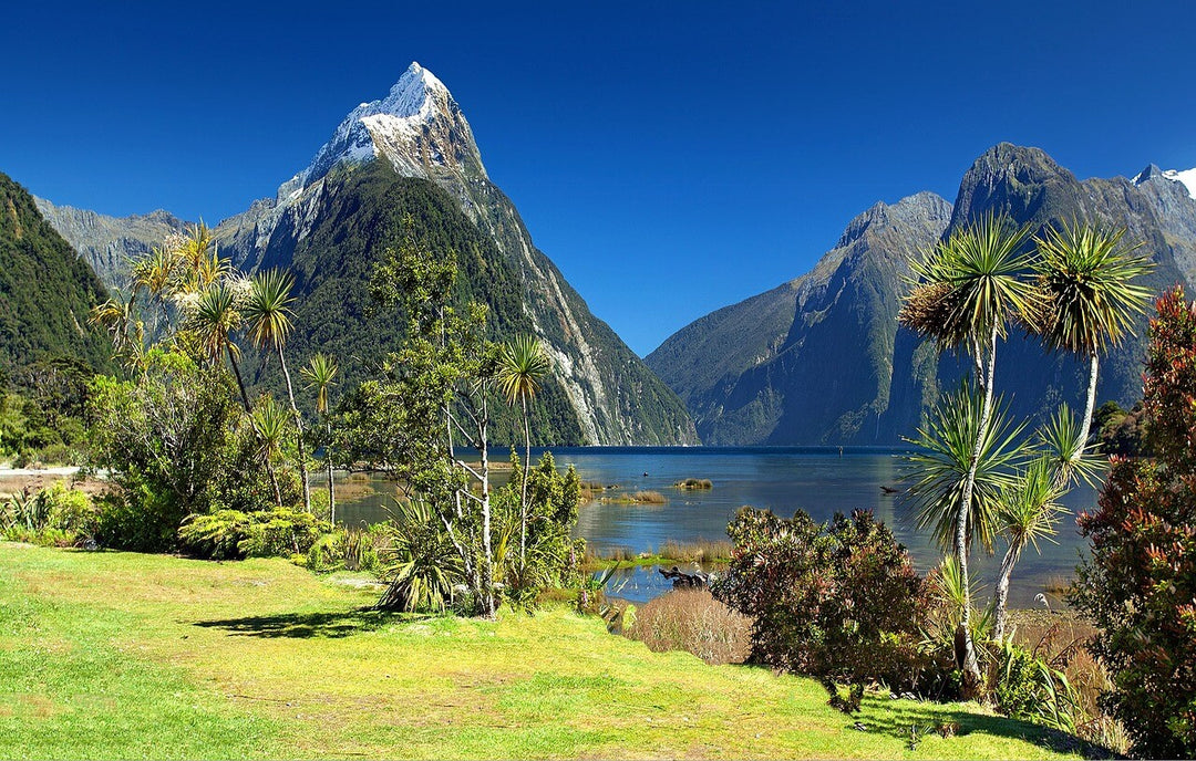 Womple Studios the beauty of New Zealand and a view of Milford Sound 