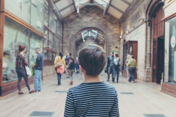 Educational Travel: Visiting Historical Sites and Landmarks