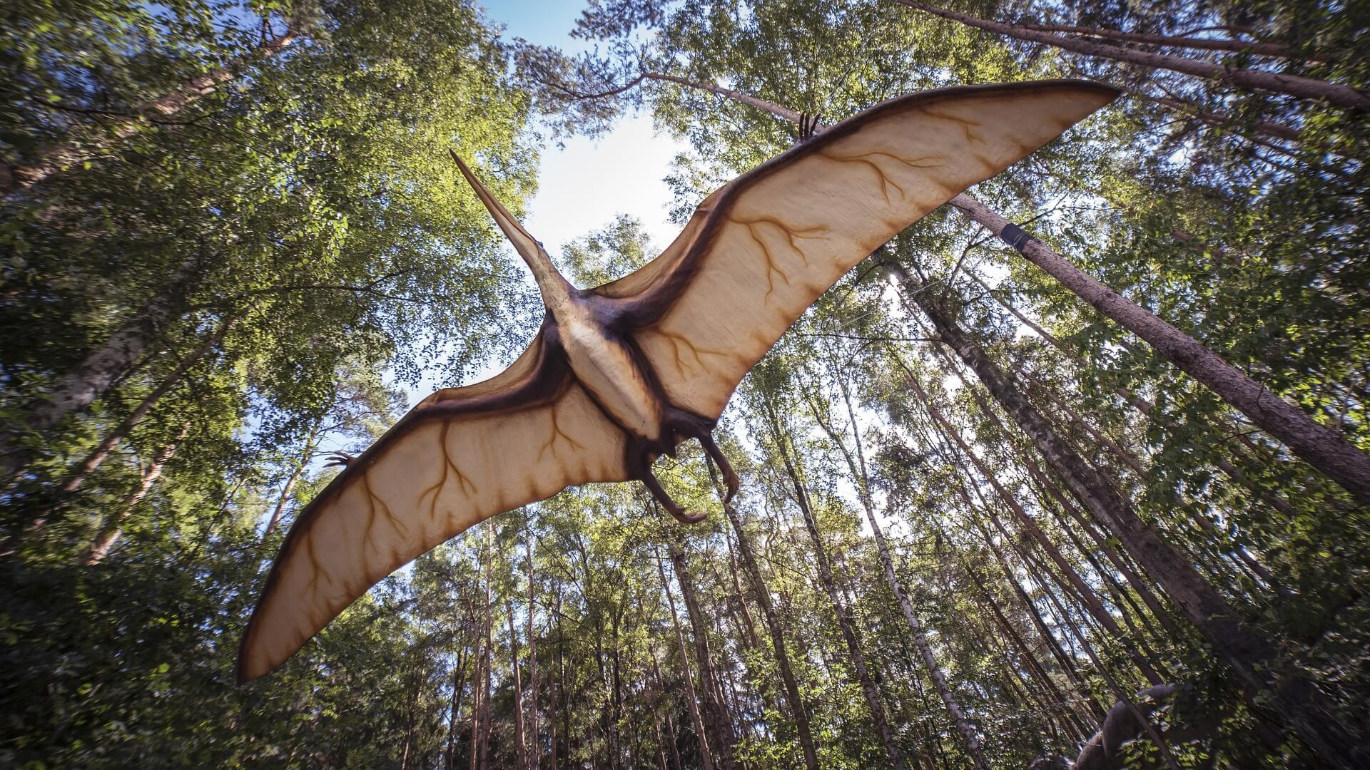 pterodactyl flying in the woods with wings open