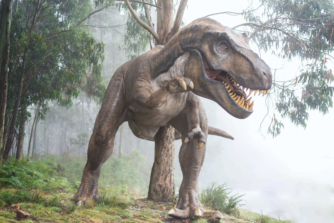 6 Biggest Dino Finds of the Last Decade | Womple Studios