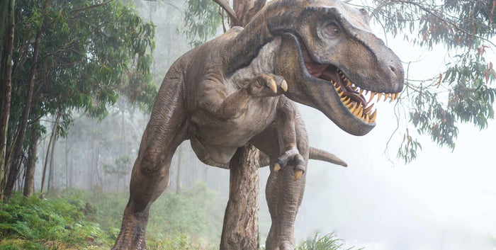6 Biggest Dino Finds of the Last Decade