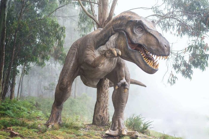 6 Biggest Dino Finds of the Last Decade