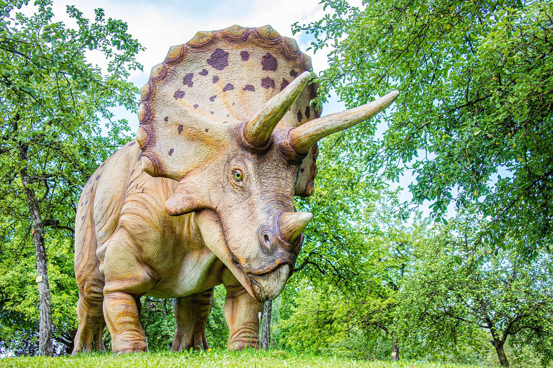 5 Most Popular Dinos That Roamed the Earth | Womple Studios | Womple Studios