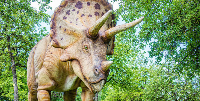 5 Most Popular Dinos That Roamed the Earth
