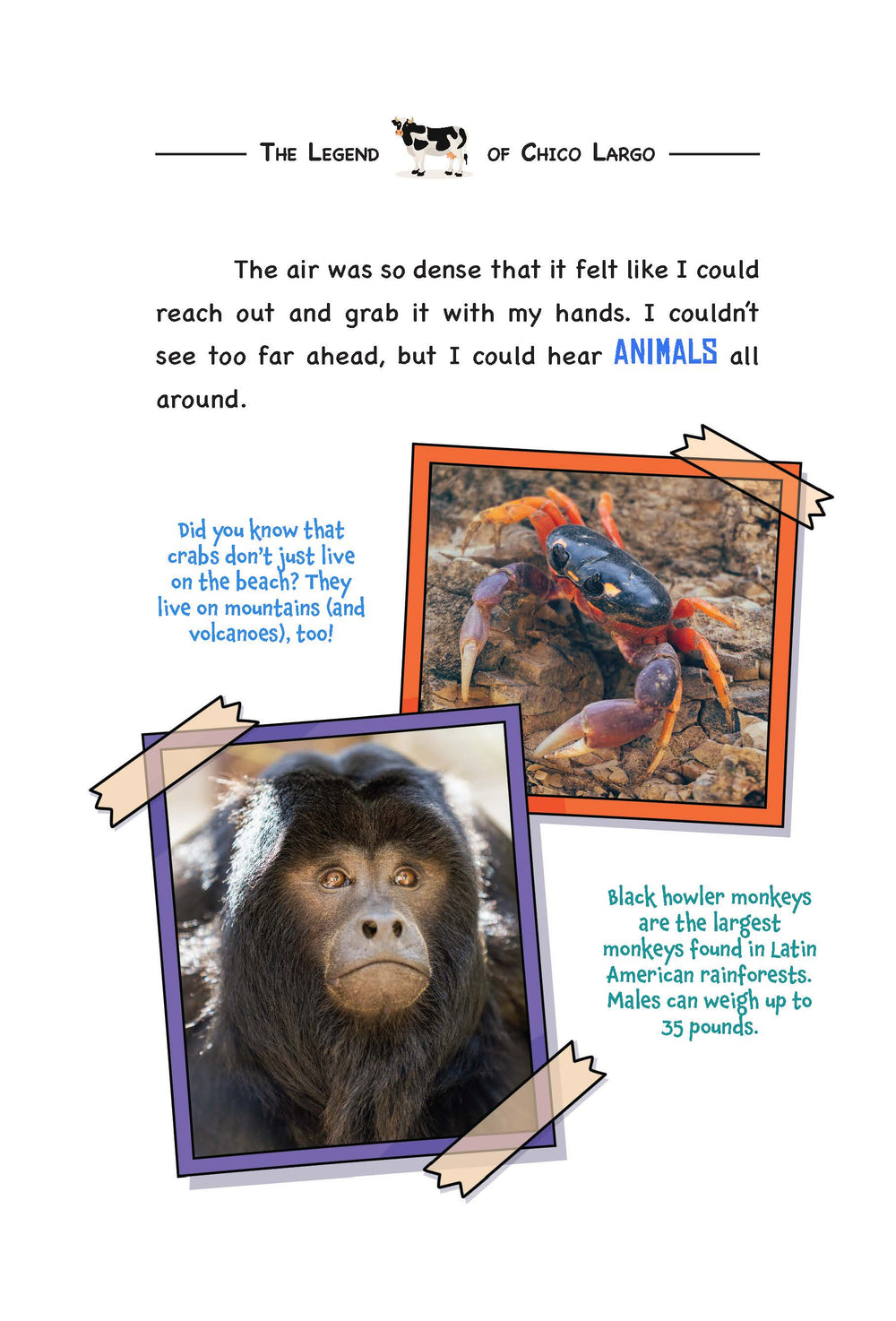 Page from the book 'Volcano Island' by Womple Studios, about Nicaragua, with text and images of a black howler monkey and a crab.