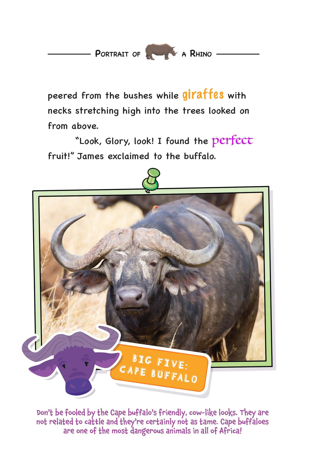 Page from 'The Great Womple Migration' by Womple Studios, about Tanzania, featuring a cape buffalo with text about animals