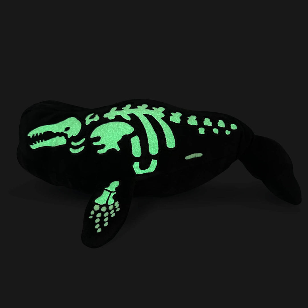 AquaGlows Beluga Whale