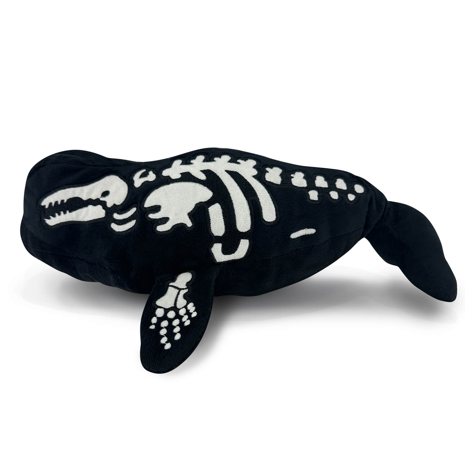 AquaGlows Beluga Whale – Womple Studios