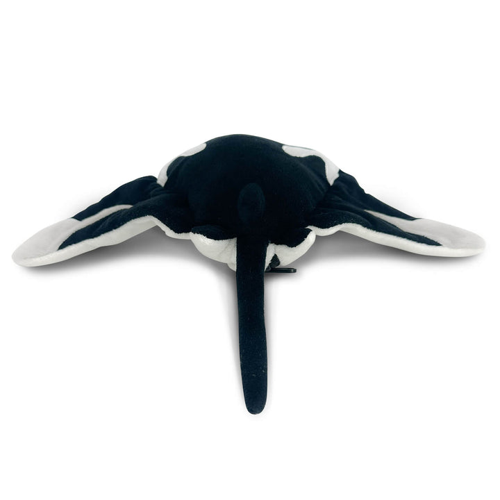 AquaGlows Manta Ray