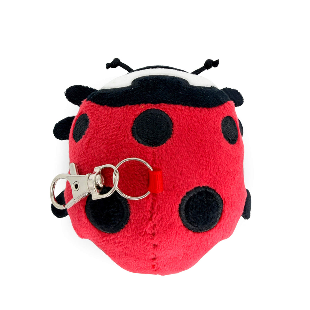 Plush ladybug keychain toy on a white background, top