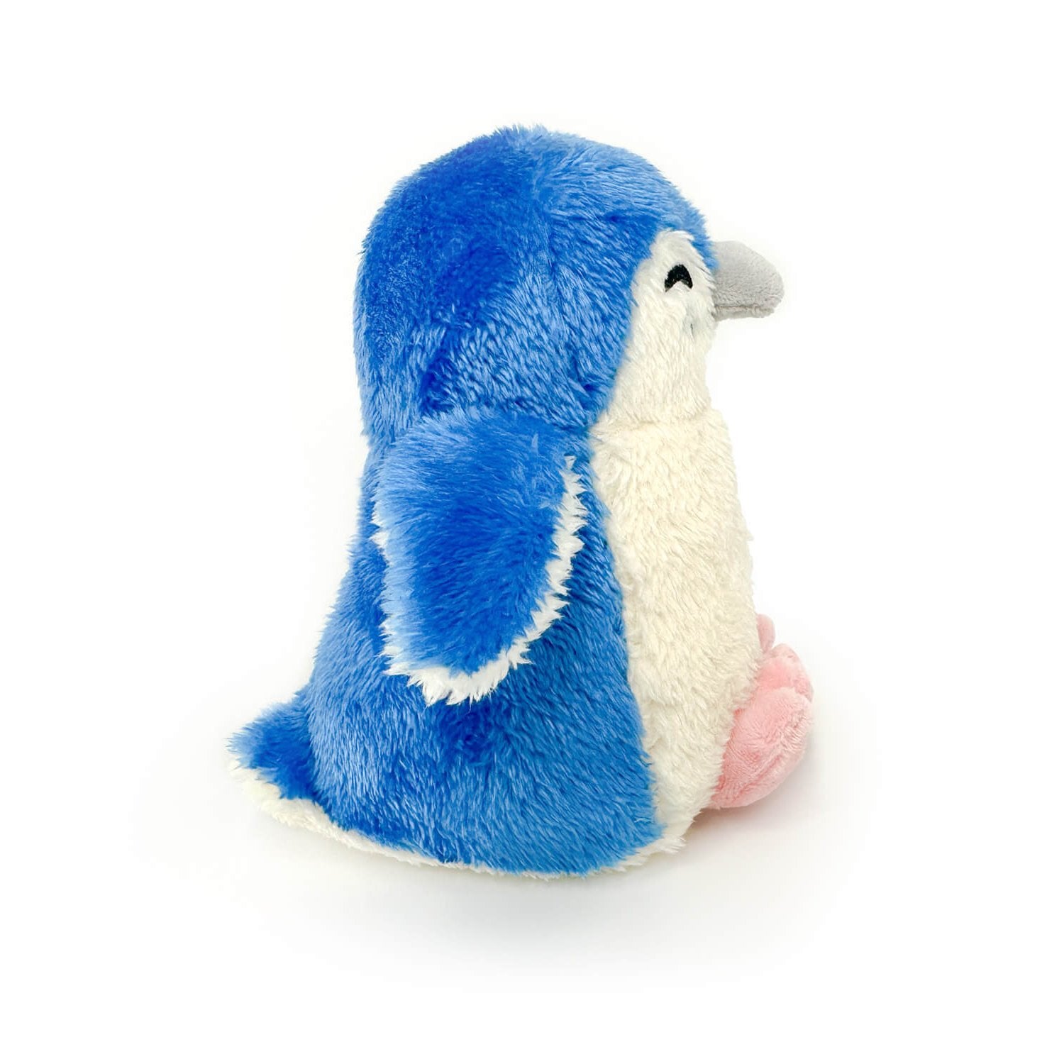 Little Blue Penguin 