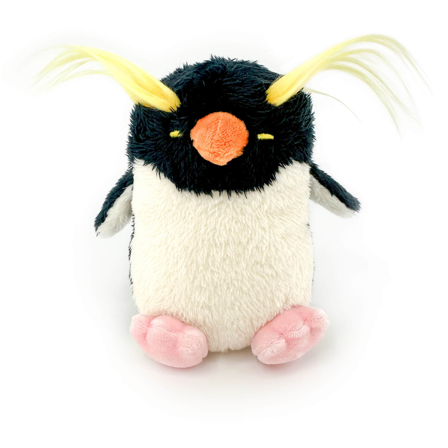 Rockhopper Penguin 