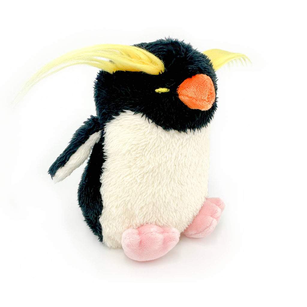 Rockhopper Penguin 