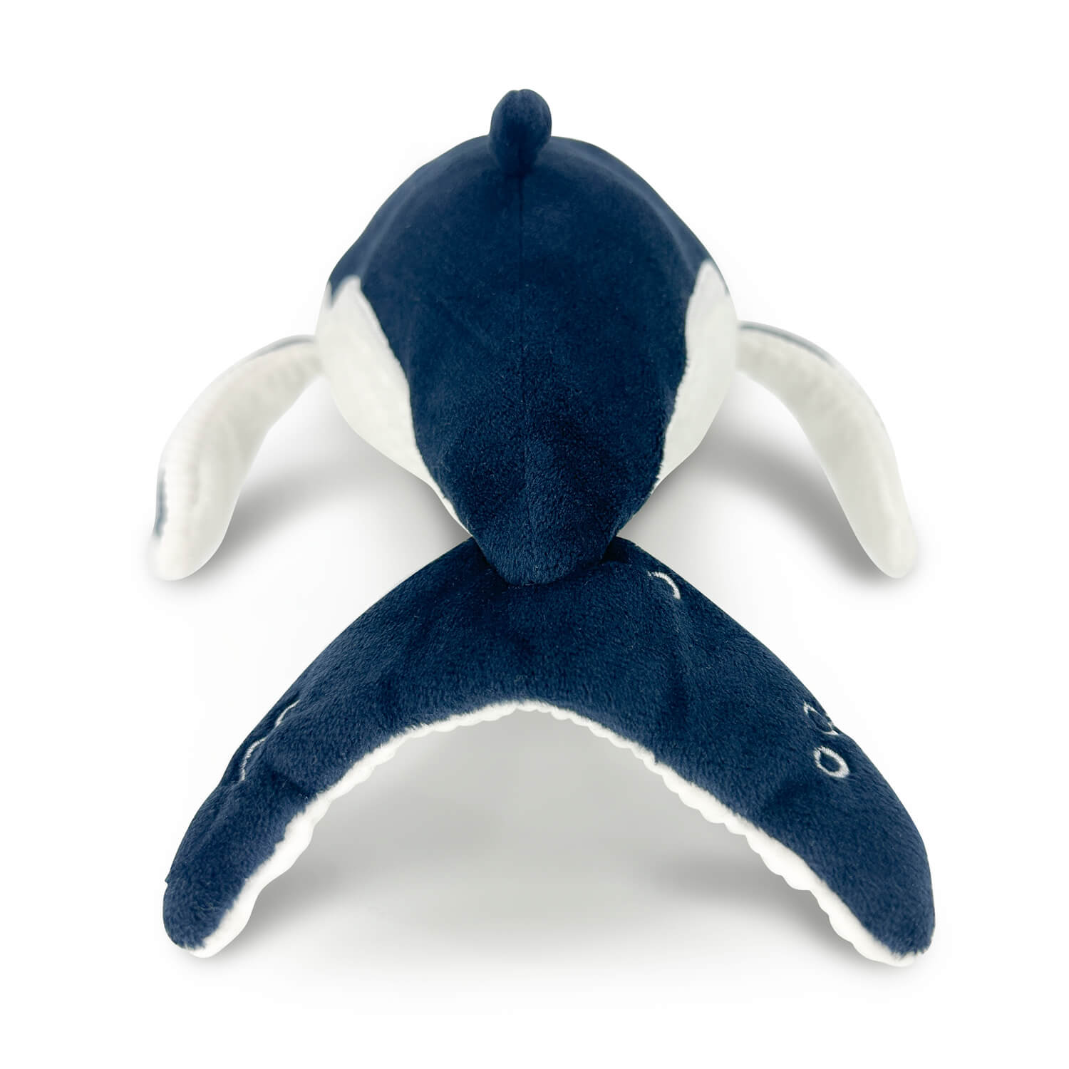 AquaGlows Humpback Whale – Womple Studios