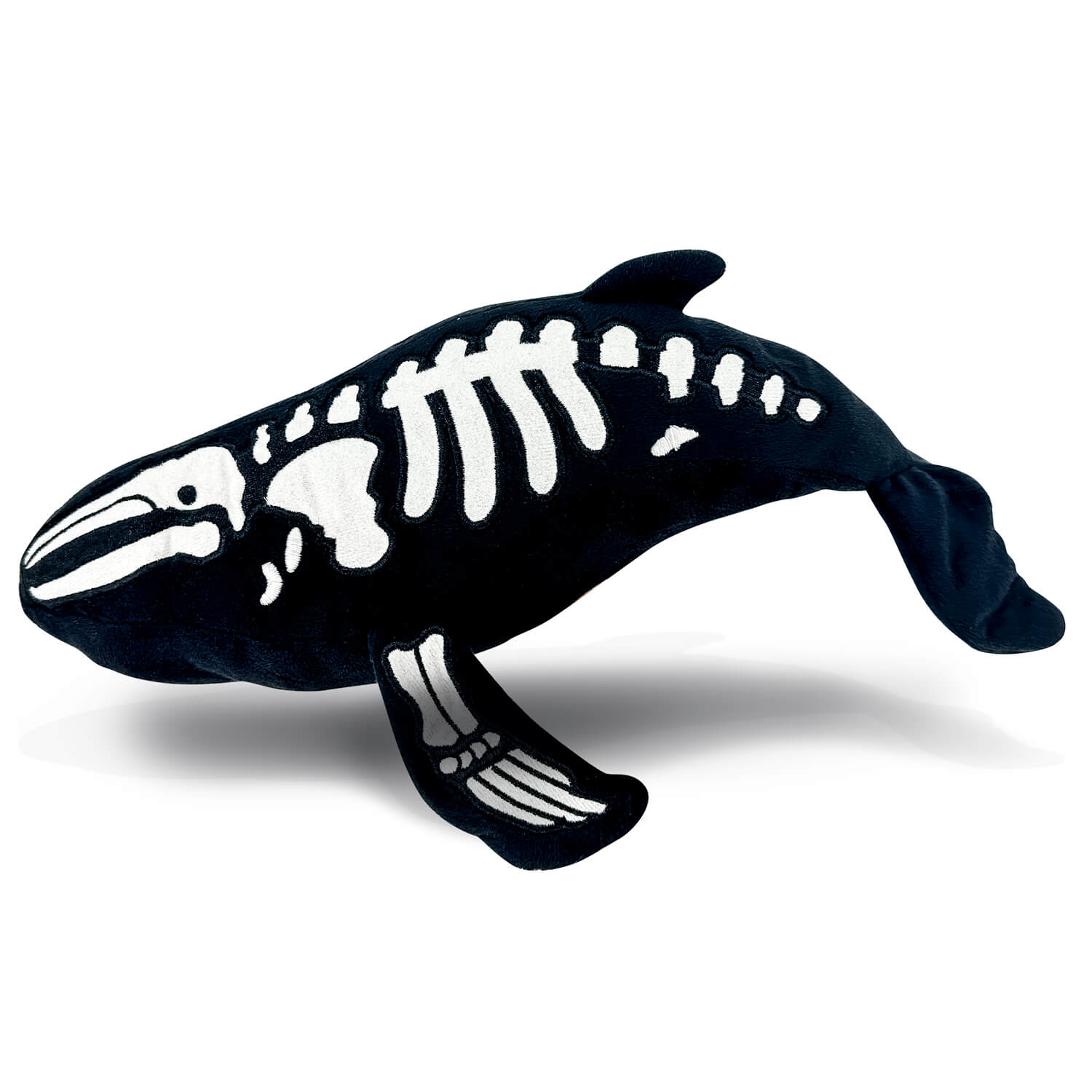 AquaGlows Humpback Whale – Womple Studios