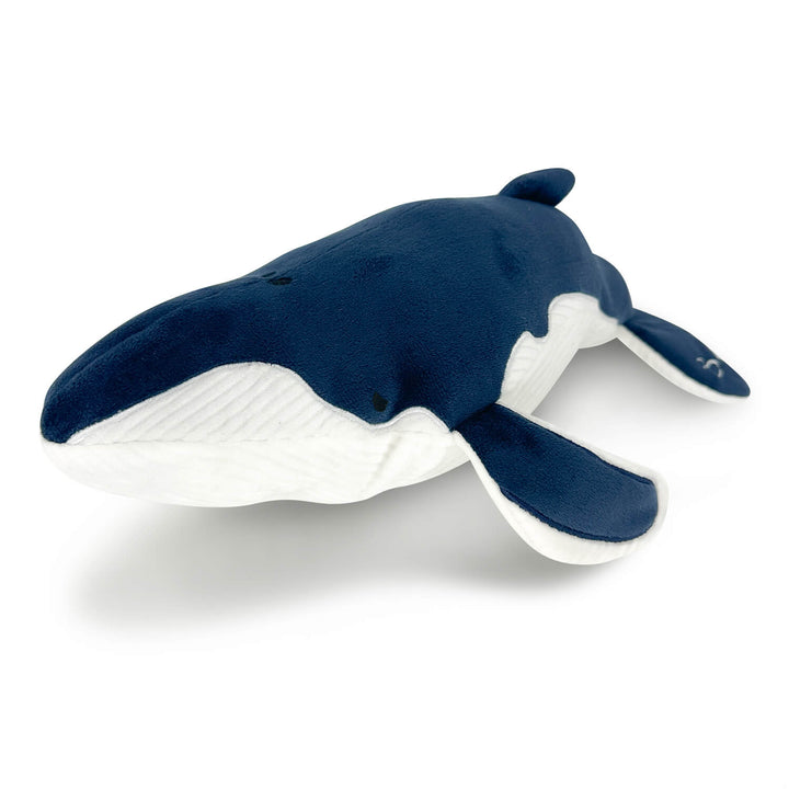 AquaGlows Humpback Whale