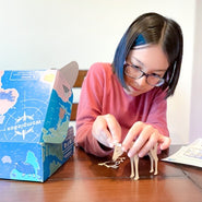 Girl constructing reindeer craft from WompleBox: Mongolia kit