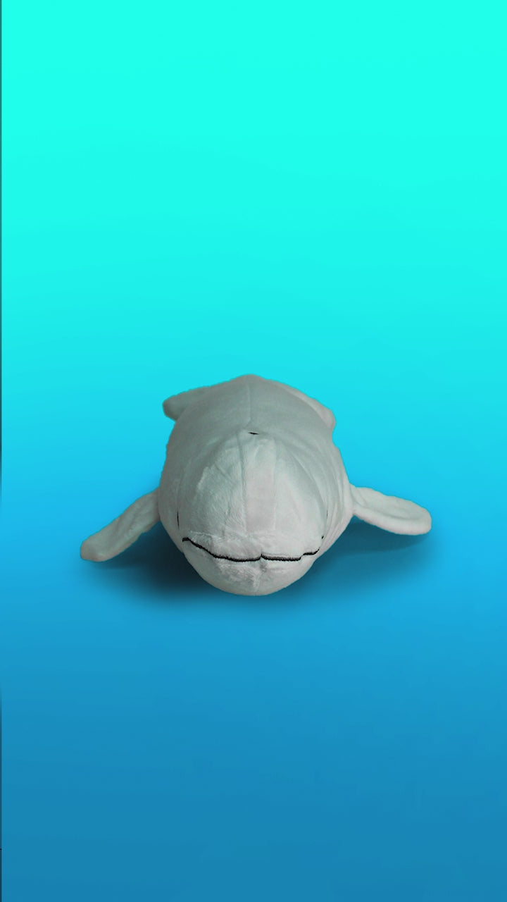 Beluga whale plush reversing to show glow in the dark beluga skeleton plush