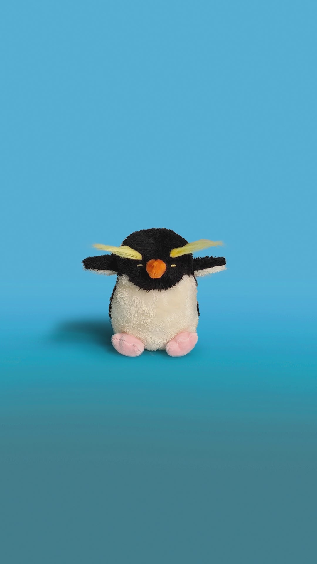 Rockhopper Penguin 